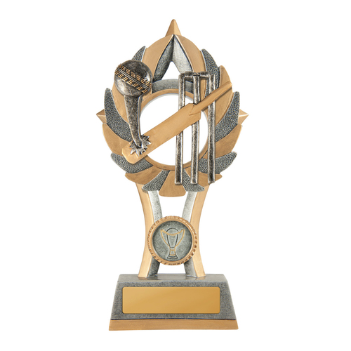 11A-FIN1G: EziRez FIN Series - Cricket Batsman