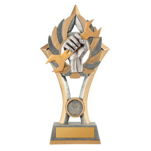 11C-FIN80G: EziRez FIN Series - Spanner Award