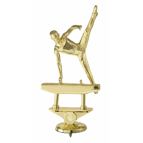 510-20C: Gymnastics Figure-Male