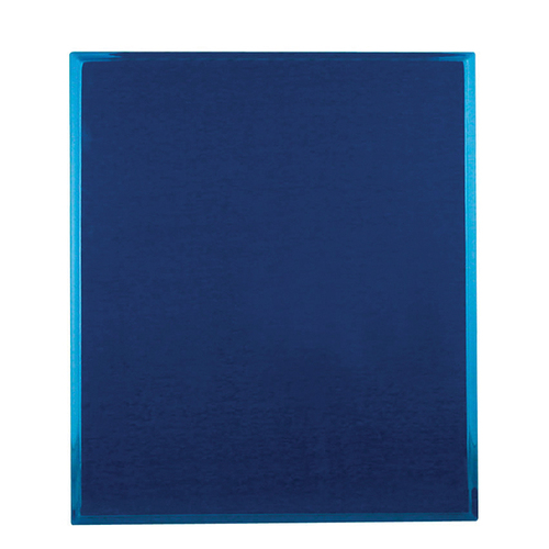 819-1RB: Plaque