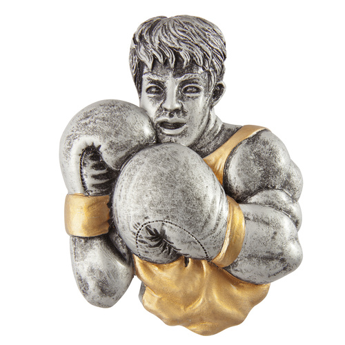 FIN-32GB: EziRez Fig. Boxing