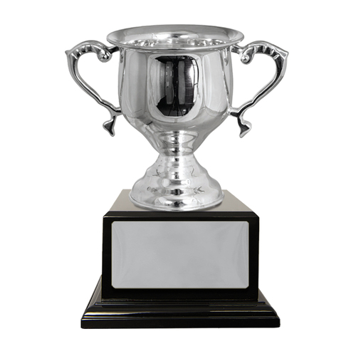 S23-1001: Silver Plated Cup