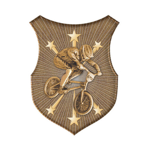 SS-14G-L: BMX Insert-2D