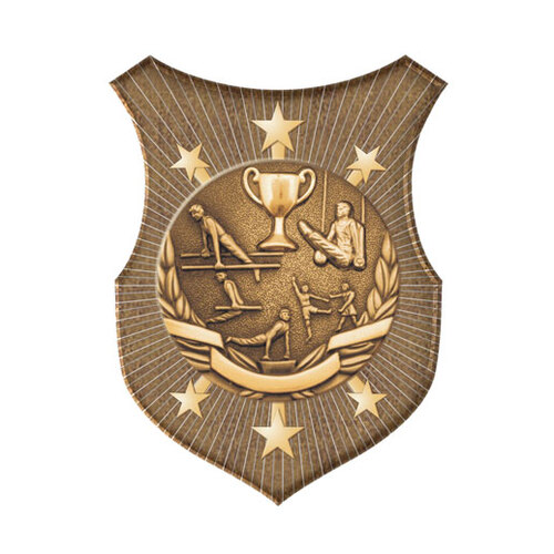 SS-20G-L: Gymnastics Insert-2D