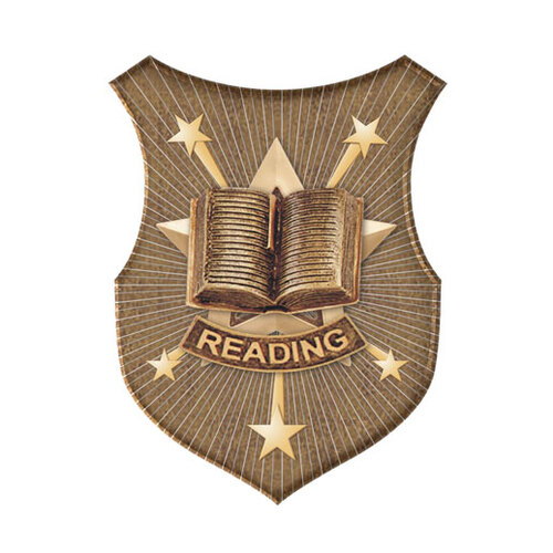 SS-49G-S: Reading Insert-2D