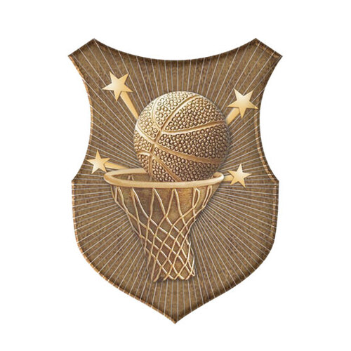 SS-7G-S: Basketball Insert-2D