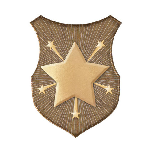 SS-91A-L: Star Insert-2D