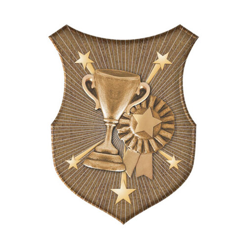 SS-92G-L: Achievement Insert-2D