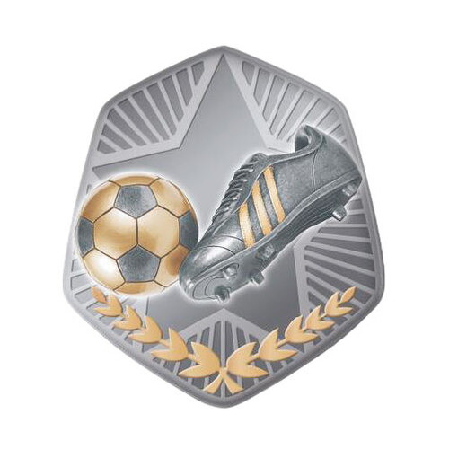 TS-9G: Football Insert-2D