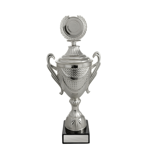 W21-3104: Silver Cup