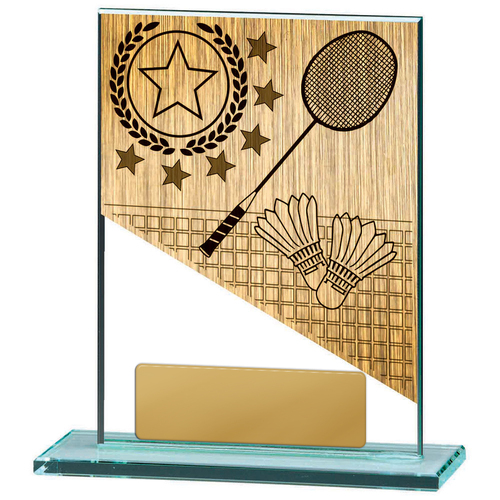 W22-10904: Badminton Theme on Glass