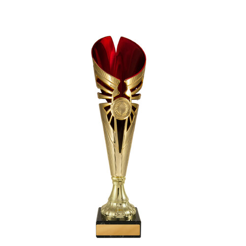 W22-1701: Angelico Cup