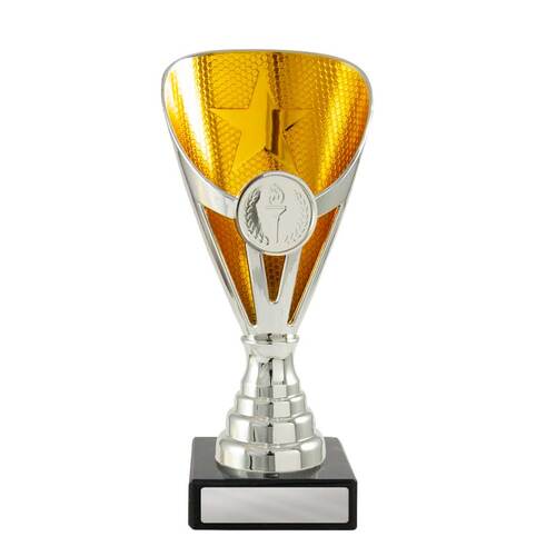 W22-2006: Arianna Cup