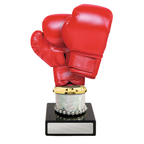 W22-8530: Acrylic Boxing on Column