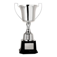 Metal Cups