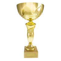 Metal Cups Budget