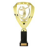 Traditional Trophies