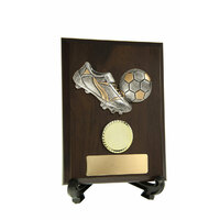 Plaques and Shields