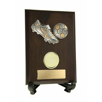 Plaques and Shields