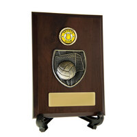 Plaques and Shields