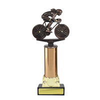 Traditional Trophies