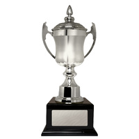 Metal Cups