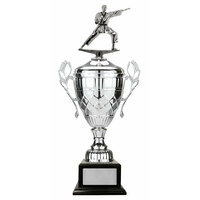 Metal Cups