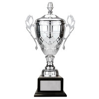 Metal Cups